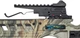 Арбалет рекурсивний Man Kung XB21 Rip Claw Green camo, Камуфляж - зображення 5