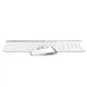 Клавіатура та миша A4Tech FB2535C, Білий - 377198 - зображення 4