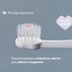 Зубна щітка Chicco для перших зубів, 6-36 міс., колір рожевий (12081.00) - зображення 4
