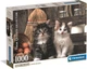 Пазл Clementoni: High Quality Collection — Wonderful Kittens / Чудові кошенята (1000 елементів) — 39943 - зображення 1