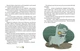 Книга 36 і 6 котів-компаньйонів - Галина Вдовиченко - зображення 5