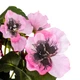 Анютини очі (25 см) (106F/pink) - зображення 3