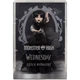 Кукла коллекционная Monster High Танцы Rave'N Венздей (HXJ03) - изображение 2