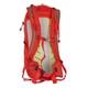 Туристичний рюкзак Jack Wolfskin Athmos Shape 24 червоний 24 л 2010161 2184 - изображение 4