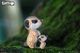 Збірна 3D модель Сурікат - изображение 6
