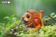 Збірна 3D модель Лев - изображение 4