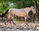 Cash traditional Американський квортерхорс limited edition Breyer 10525 - изображение 1