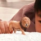 Африканський лев Schleich 14974 - изображение 3