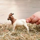 Бурська коза Schleich 14929 - изображение 4