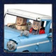 Конструткор LEGO Harry Potter TM Чарівний летючий Форд «Англія» (76470) - зображення 7