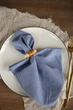Хлопковая салфетка для сервировки VTILENE , Steel Blue, 35х35 см - изображение 1
