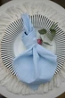 Салфетка хлопковая для сервировки VTILENE, Light blue, 35х35 см - изображение 2