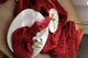 Салфетка с плотной марли для декора стола VTILENE, Deep red, 35х35 см - изображение 4