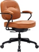 Крісло офісне SIHOO L3 PVC Vintage Brown (L3D-M101) - зображення 1