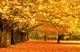 Фотообои флизелиновые Print-walls осеннее утро 0258 300×200 см (Ш×В) - изображение 2