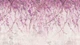 Фотообои флизелиновые Print-walls ветки сакуры 0780 100×100 см (Ш×В) - изображение 2