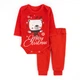 Дитячий святковий комплект Dexter`s з начісом christmas bear 80 см - зображення 1