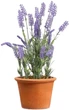 Штучна рослина Homla Lavender лаванда 43 см (5904183882017) - зображення 2