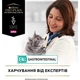 Сухой корм для кошек Purina Pro Plan Veterinary Diets EN с болезнями желудочно-кишечного тракта 1.5 кг (7613035160682) - изображение 8