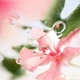 Туалетна вода для жінок Lancome O Queryver the Top Eau De Toilette 1.2 - зображення 3