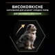 Сухой полнорационный корм Purina Pro Plan Medium Puppy Healthy Start для щенков средних пород с курицей 3 кг - изображение 5