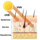 Сонцезахисний крем для обличчя SPF 50+ Hillary VitaSun щоденний захист для світлошкірих антиоксидантний крем (652460) - зображення 17