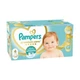 Дитячі підгузки 312 шт Pampers Premium Care розмір 4 (9-14 кг) Дитячі підгузники памперс з індикатором вологи та захистом до 12 годин Памперси преміум для дітей - зображення 3