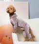 Костюм для собак велюровый Dogs Bomba Кураж пудра D-243 9р - изображение 2