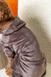 Костюм для собак велюровый Dogs Bomba Кураж тауп D-242 7р - изображение 4