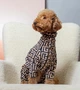 Костюм для собак велюровый Dogs Bomba Меандр D-248 2р - изображение 2
