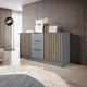 Комод Perfect Home Неллі / Nelly 3D 2-дверний з 3 шухлядами Сірий/дуб артизан (PFH-091867) - зображення 1