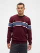 Джемпер мужской GAP 84487426 XL Бордовый (1159856919) - изображение 1