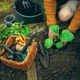 Розрихлювач ручний Fiskars Solid 8,2 см, три зуба, 1001600 (1072102) - зображення 3