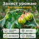 Сетка Bradas 10x50 м 20 г/м² для защиты от птиц противоптичья деревьев садовая 15×15 мм UV-стойкая - изображение 6