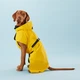 Светоотражающий дождевик для собак с антибактериальной подкладкой PAIKKA Visibility Raincoat Lite Yellow 90 - изображение 8