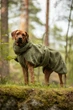 Толстовка для собак на Seawool-подкладке PAIKKA Sherpa Shirt Olive 55 - изображение 7