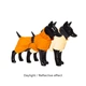 Дощовик для собак з FIR-підкладкою PAIKKA Recovery Raincoat Orange 40 - зображення 2