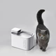 Умная поилка для животных PETKIT Eversweet Max 2 100 UVC pump Smart Pet Drinking Fountain 3л White (P4116-UVC) - изображение 9