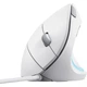 Мишка Trust Verto Ergonomic USB White - зображення 2