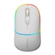 Мишка Canyon MW-22 Dual Band RGB Wireless Snow White - зображення 1
