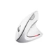 Мышка Trust Verto Ergonomic Wireless White - изображение 1