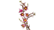 Конструктор Lego Ветки Магнолии Botanicals 11510 - изображение 8