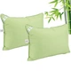Набір подушок Руно 50х70 бамбукові салатові 2шт (К_Н310.52БКУ_Салатовий) - зображення 1