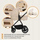 Універсальна коляска 2 в 1 Lionelo MERIL 2IN1 BEIGE SAND - зображення 1