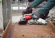 Шлифмашина угловая аккумуляторная Milwaukee M18 FSAGSVO125X-502X (4933493553) - изображение 8