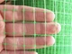 Сетка защитная от птиц Клевер универсальная 12х14 мм/0,5х20 м Зеленый - изображение 2