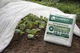 Агроволокно белое Greentex R50 3,2х15 м защита от заморозков и солнца - изображение 4