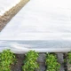 Агроволокно белое Greentex R50 3,2х15 м защита от заморозков и солнца - изображение 14