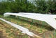 Агроволокно белое Greentex R100 3,2×10 м для теплиц и каркасных конструкций 100 г/м² - изображение 6