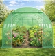 Садовая теплица Expand TFO25-3X6X2-2-Z 18 м² 6×3×2 м два входа прочный каркас 25 мм идеальна для овощей и фруктов - изображение 7